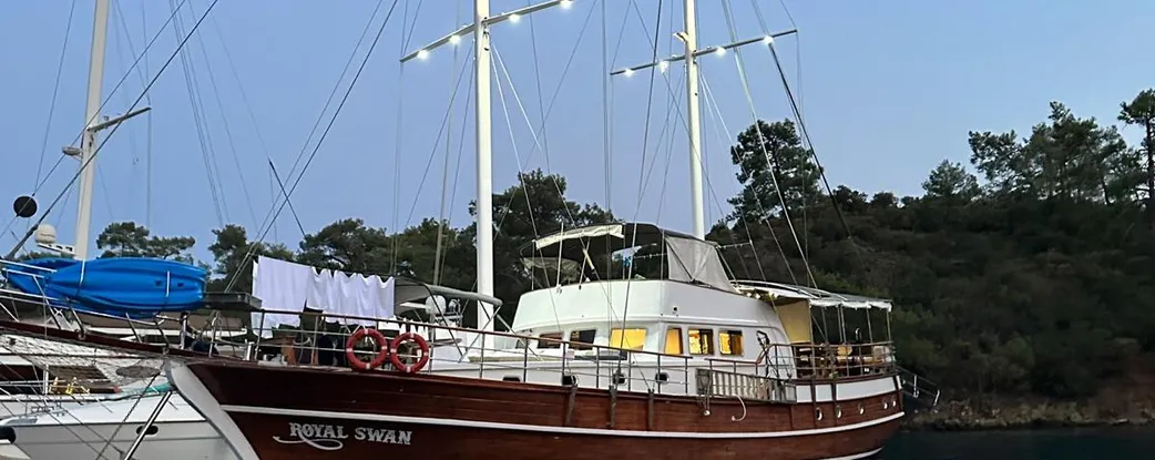 Royal Swan Fotoğraf 2