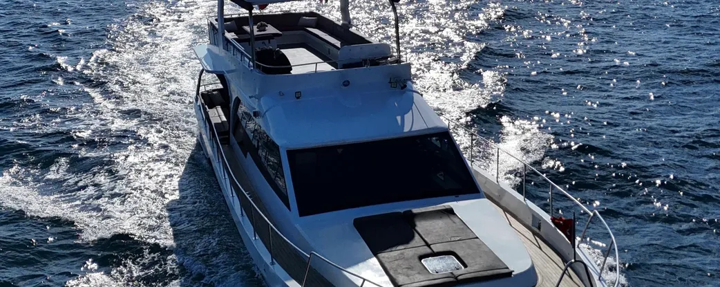 Beyaz Kumru Fotoğraf 13