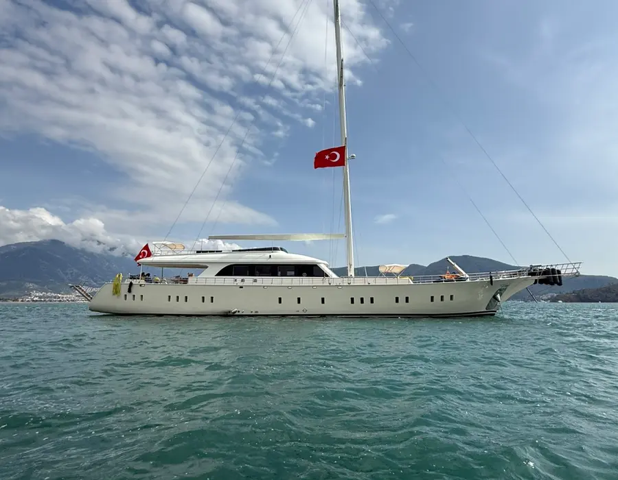 Dodo Fotoğraf 2