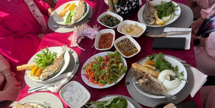 STARLİNE Fotoğraf 8