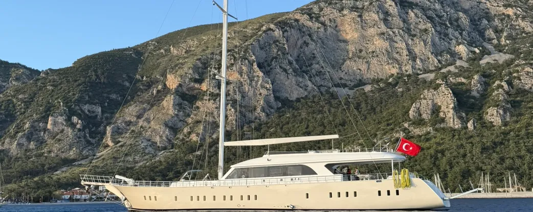 Dodo Fotoğraf 4