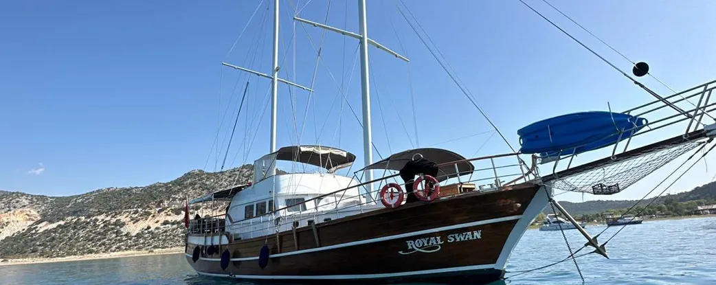 Royal Swan Fotoğraf 3