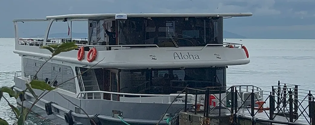Aloha Fotoğraf 10