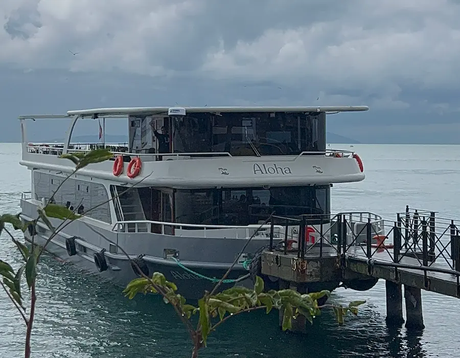 Aloha Fotoğraf 10