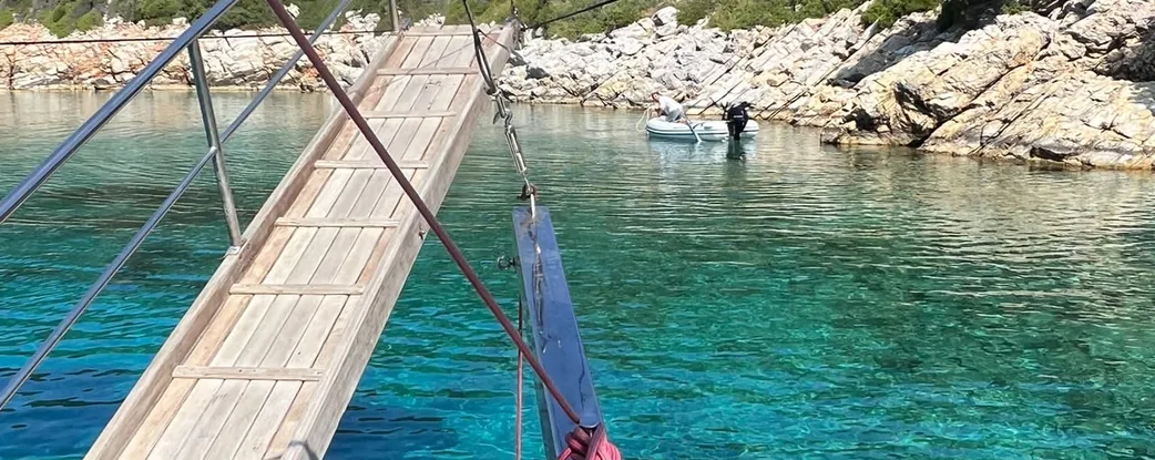 Mercan Fotoğraf 11