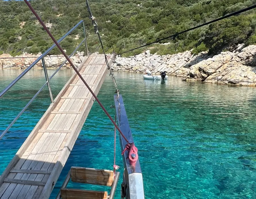 Mercan Fotoğraf 11