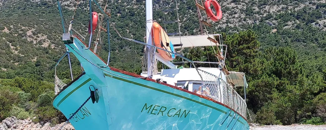 Mercan Fotoğraf 1