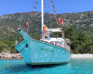 Mercan - Fotoğraf 1