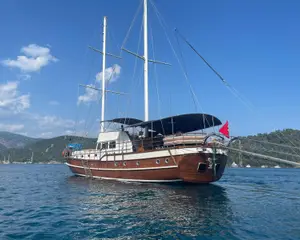 Royal Swan - Fotoğraf 1