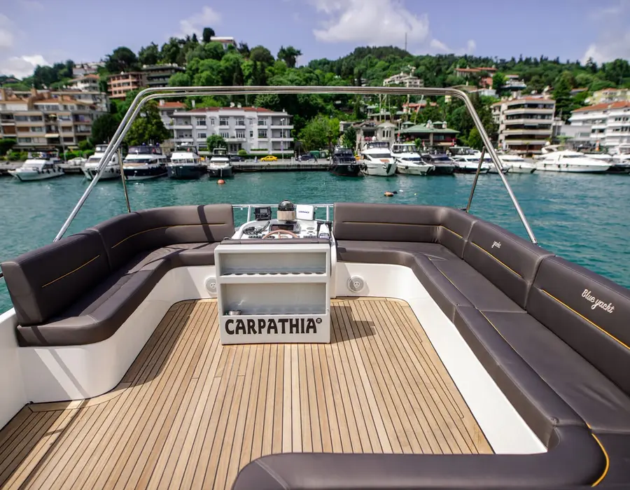 Carpathia Fotoğraf 8